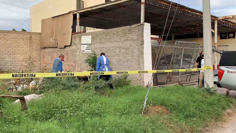 Encuentran el cuerpo de un hombre en descomposición en un lote baldío de Los Mochis