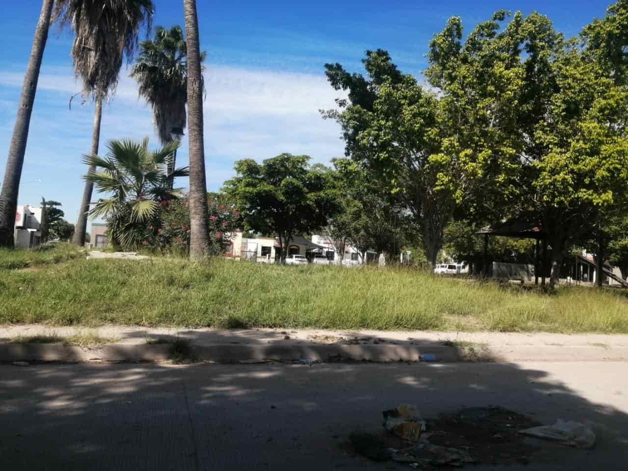 FOTO: Adriana Ochoa.