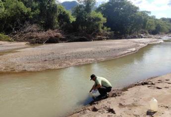 Piden que el Fideicomiso de Fomento Minero sirva para regular y evitar daños al ambiente