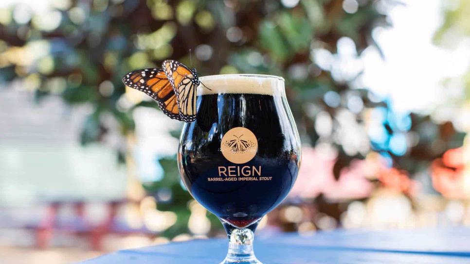 Beber cerveza puede ahora ayudar a la conservación de las mariposas monarca Beber cerveza puede ahora ayudar a la conservación de las mariposas monarca