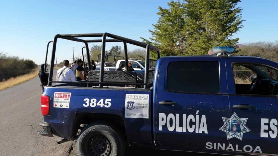 Reportan león suelto en La Divisa, en Culiacán; Zoológico inicia búsqueda