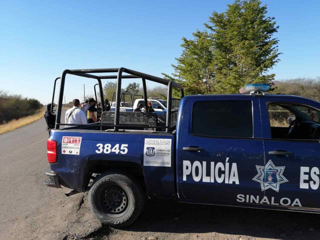 Reportan león suelto en La Divisa, en Culiacán; Zoológico inicia búsqueda