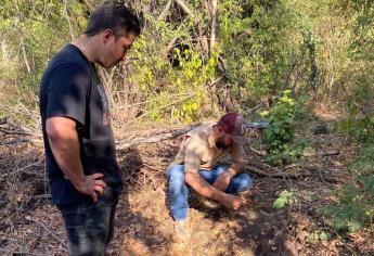 Instalarán cámaras en zona donde se denunció la presencia de león, en Culiacán