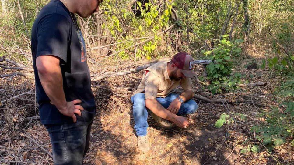 Instalarán cámaras en zona donde se denunció la presencia de león, en Culiacán