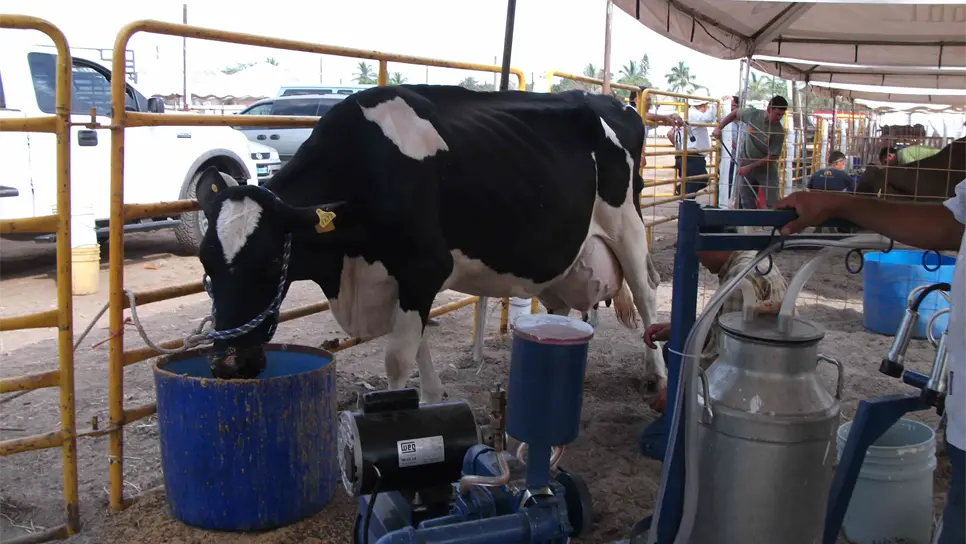 FOTO: Teresita Rodríguez.