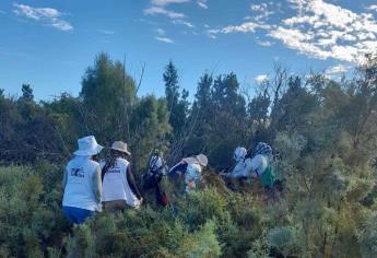 En búsqueda federal localizan restos humanos, suman 186 cuerpos en El Guachapori