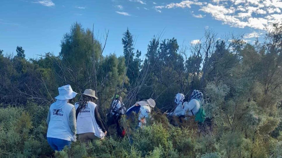 En búsqueda federal localizan restos humanos, suman 186 cuerpos en El Guachapori