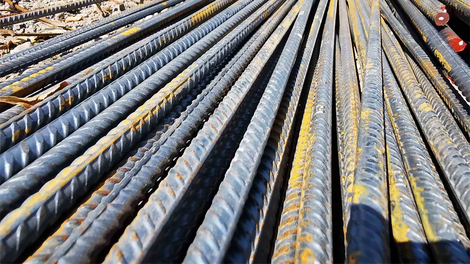 FOTO: Danira Rodríguez.