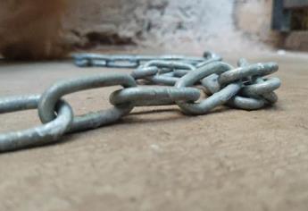 DIF Culiacán ya atiende caso de menor encontrado encadenado