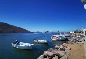 Por accidente del «Pechocho» cae turismo en Topolobampo