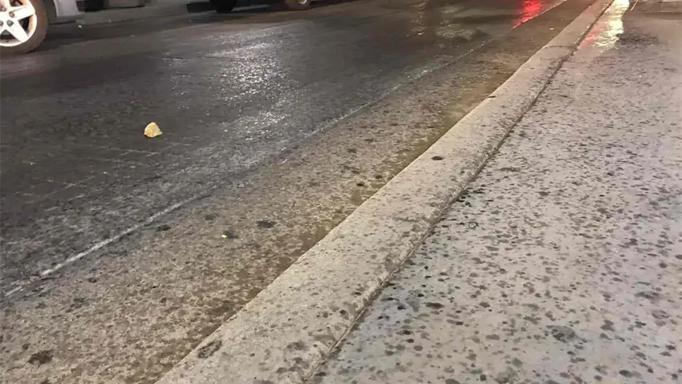 FOTO: Brianda López.