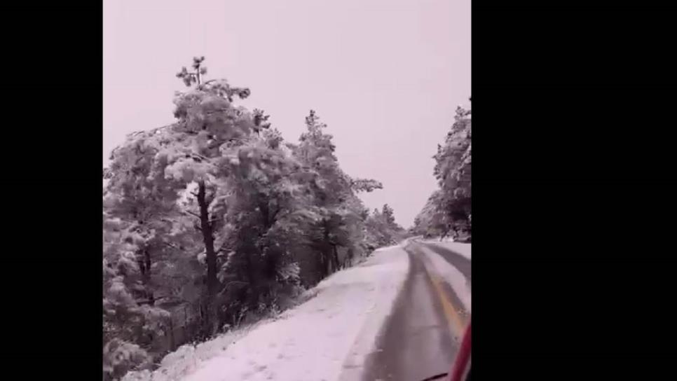 Se registra la primera nevada en la sierra de Sinaloa