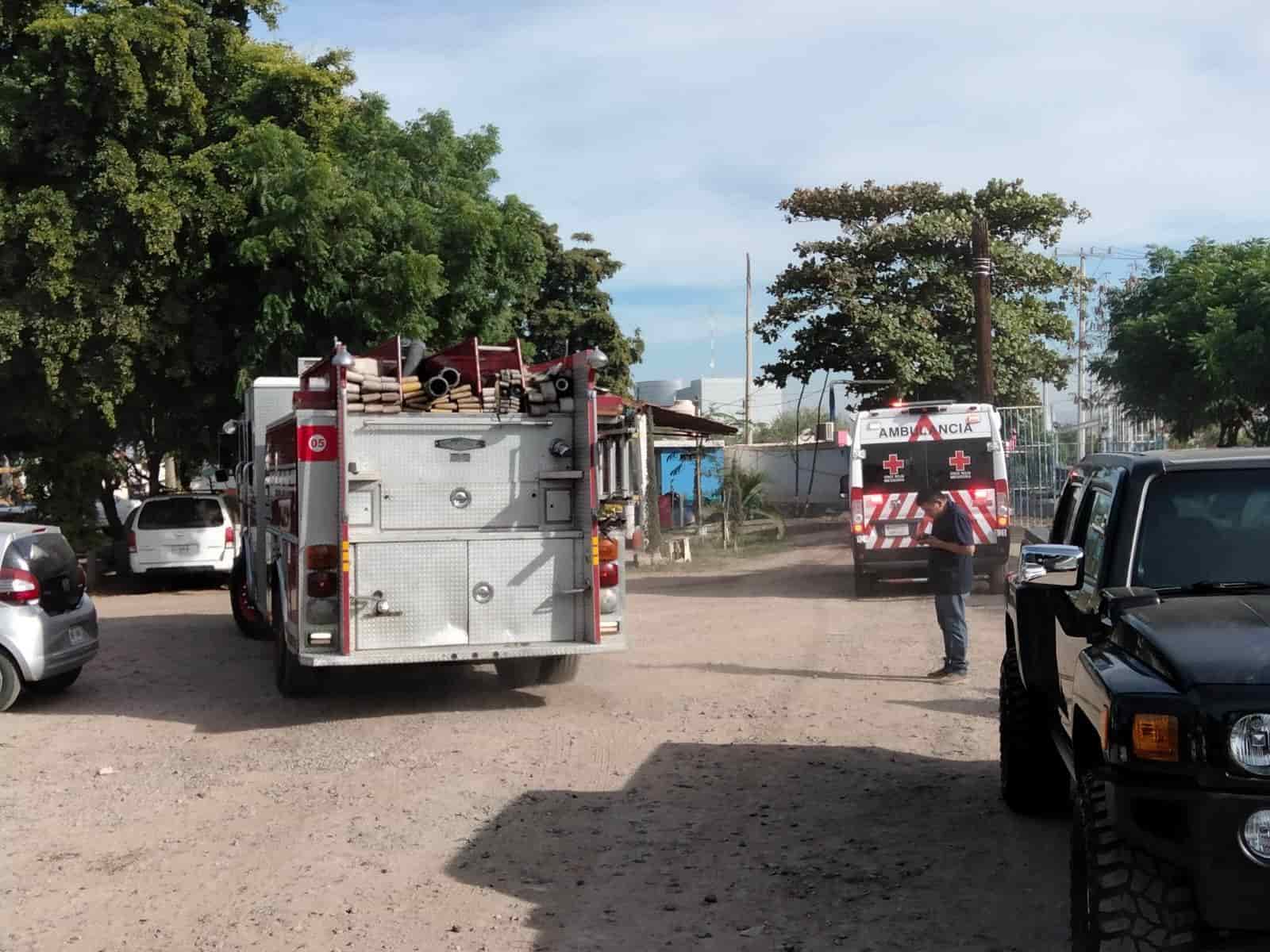 FOTO: Ángel Zamudio.