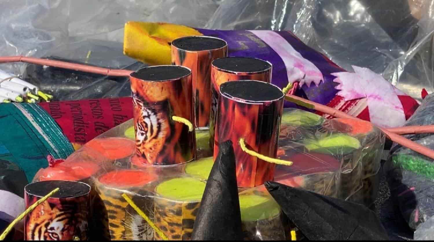 FOTO: Luz Noticias | Temática.