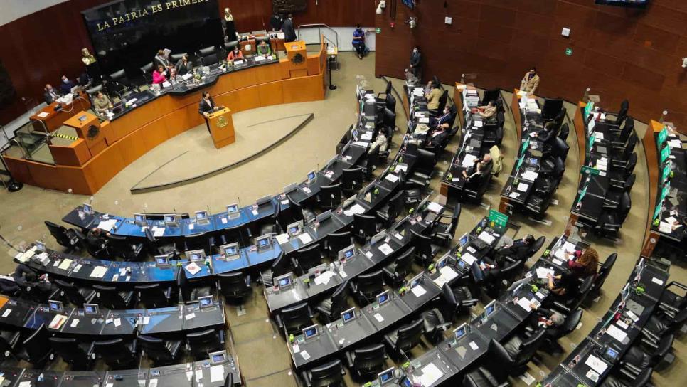 El Senado avala 18 años de cárcel a quien difunda imágenes de cadáveres de mujeres víctimas de violencia El Senado avala 18 años de cárcel a quien difunda imágenes de cadáveres de mujeres víctimas de violencia