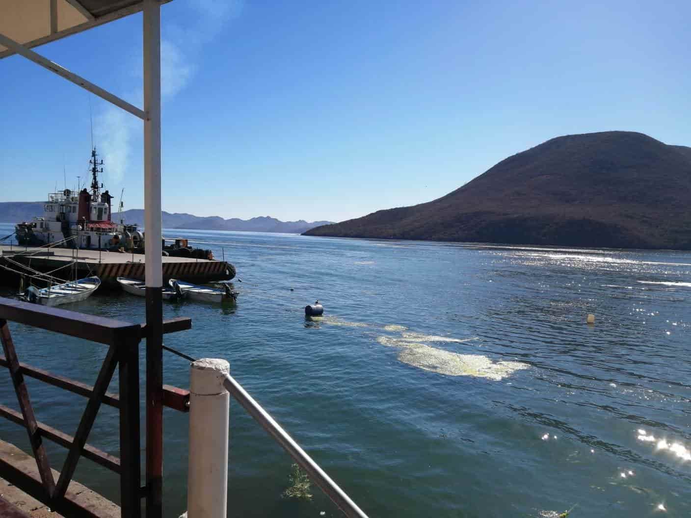 Tours del «Pechocho» se van a reanudar la primera semana de enero