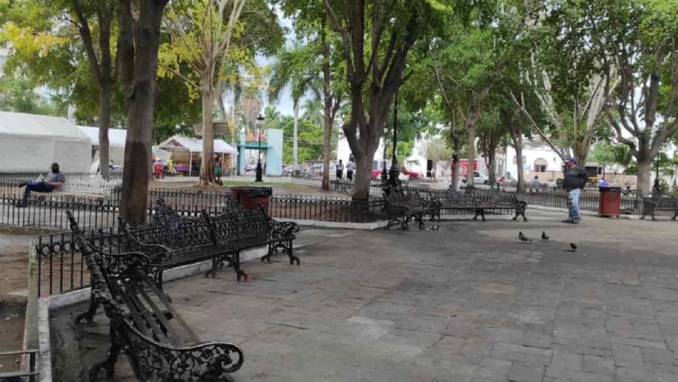 Remodelación de Plazuela 27 de septiembre no afectará flora del área
