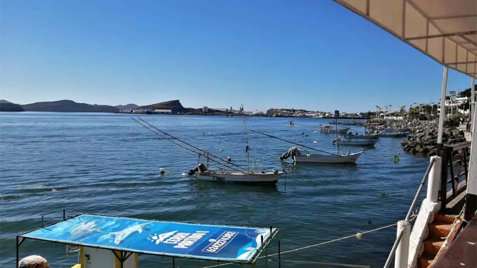 Luego de meses de inactividad, repuntan paseos en la bahía de Topolobampo