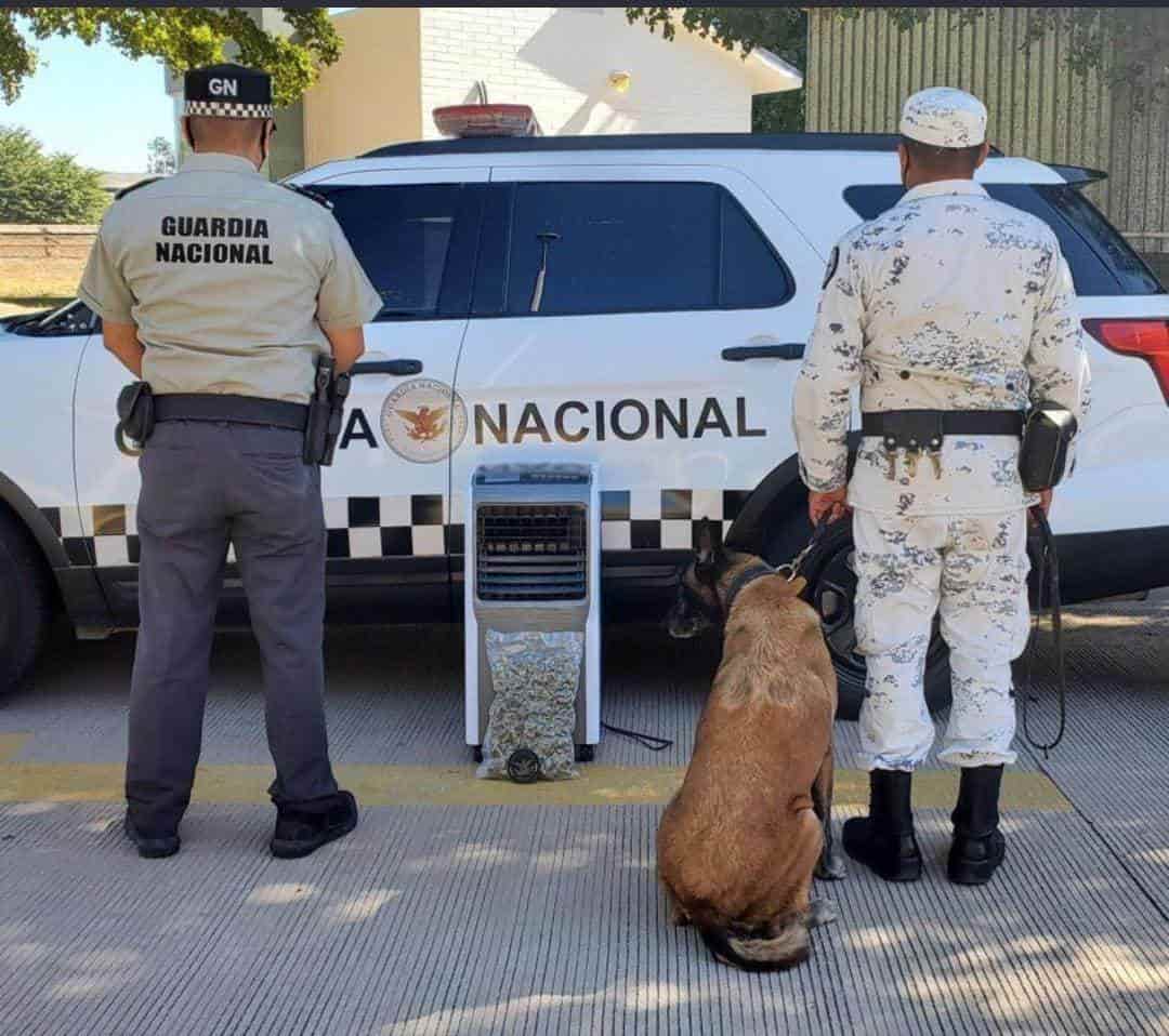 ¡Mariguana fresca!: la escondían en aire acondicionado portátil