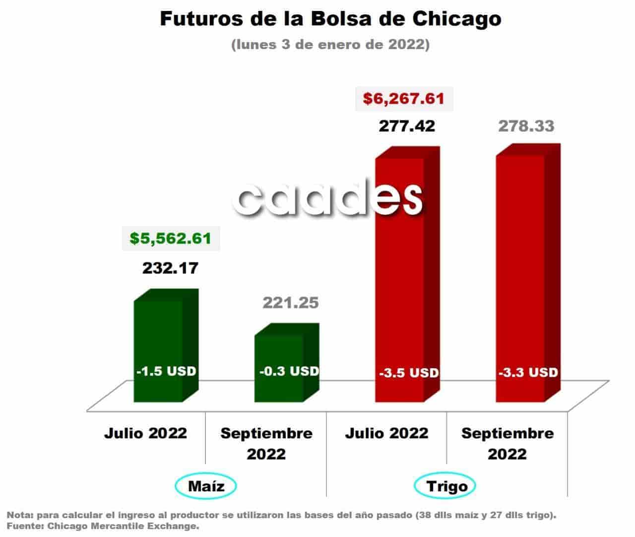 Imagen Placeholder