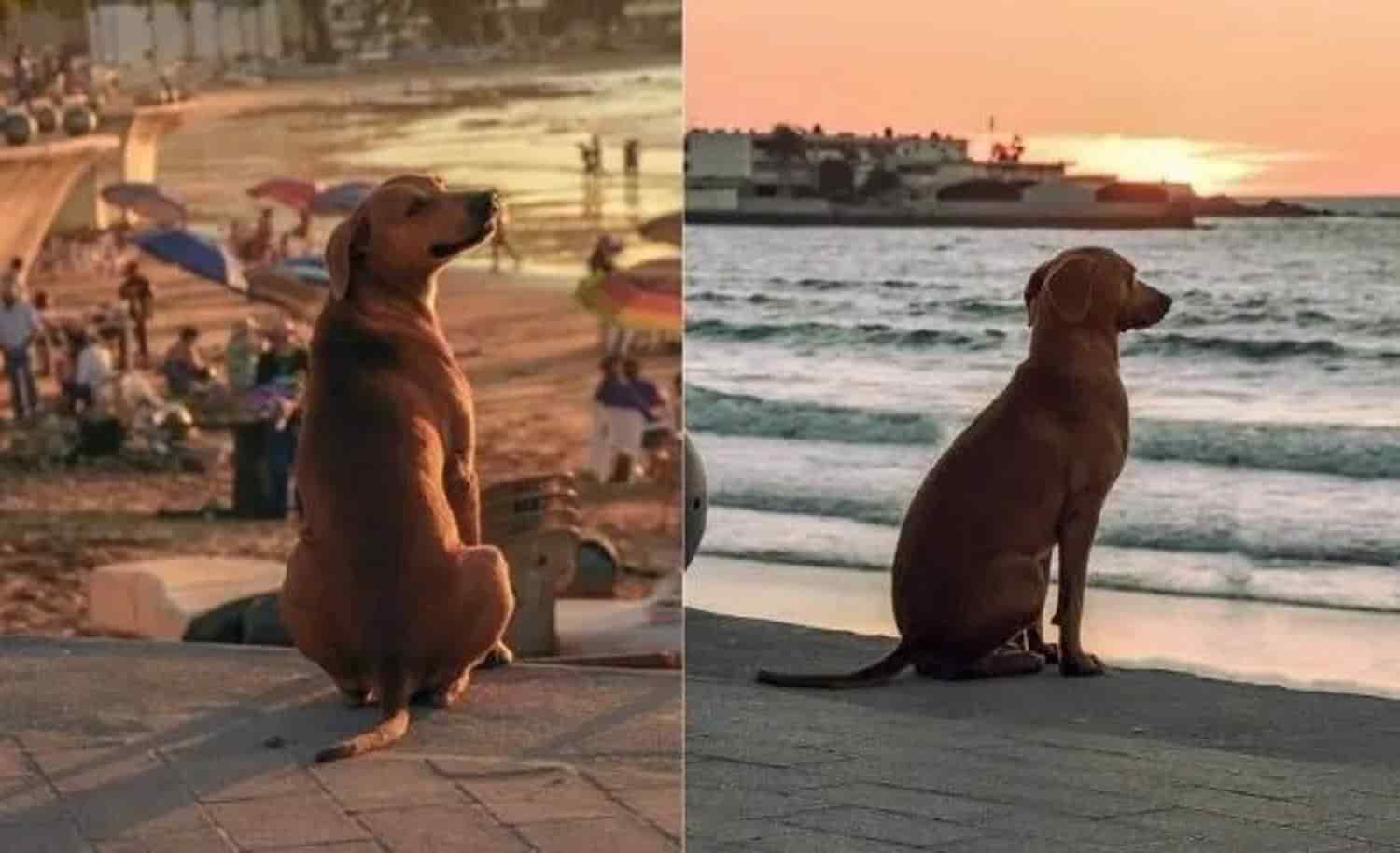 FOTO: El Fotógrafo de los 10 pesitos.