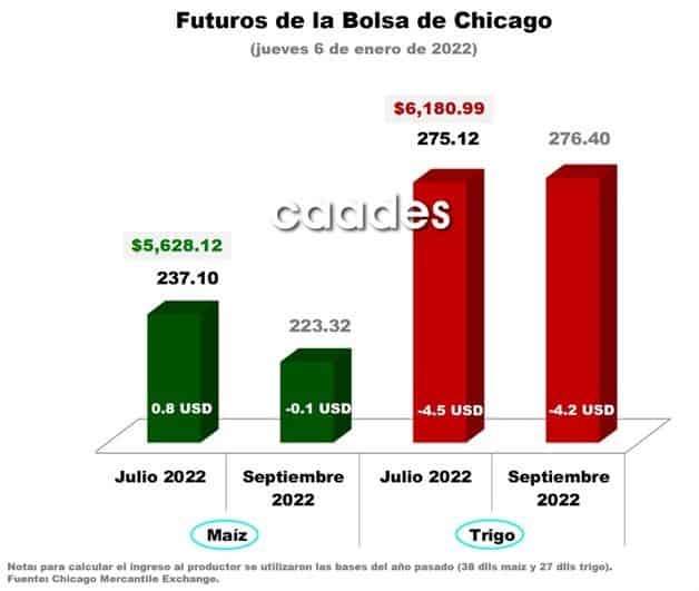 Imagen Placeholder