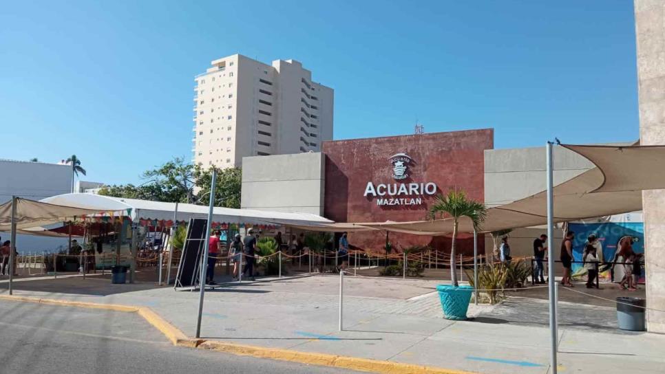 Despreocupa a director de Acuario Mazatlán anuncio de nueva auditoría