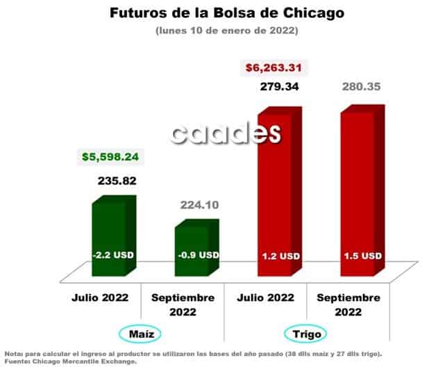 Imagen Placeholder