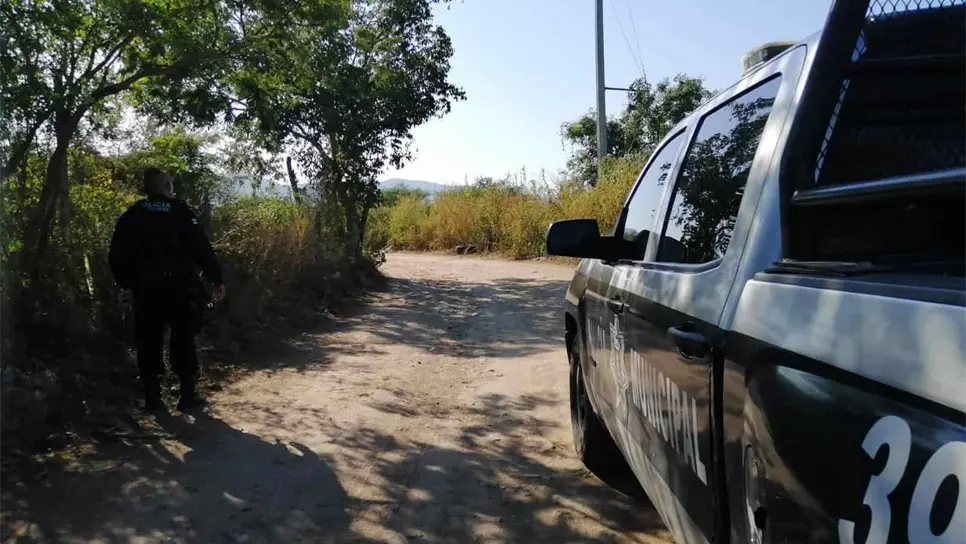 FOTO: Luz Noticias | Temática.