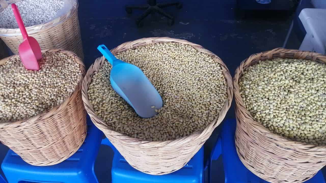 FOTO: Esthela García.