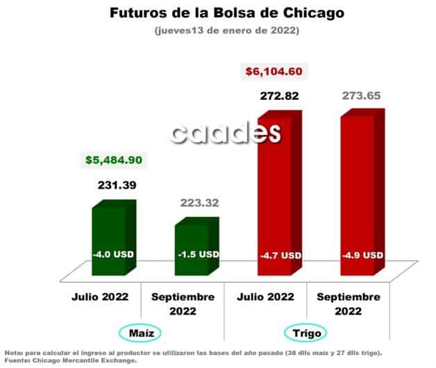 Imagen Placeholder