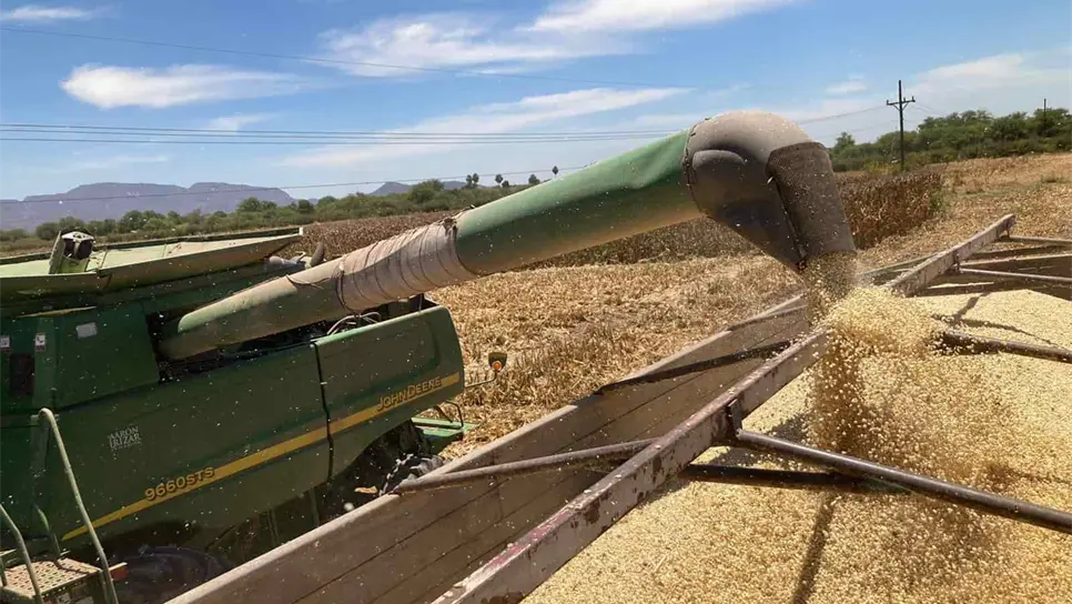 FOTO: Luz Noticias | Temática.
