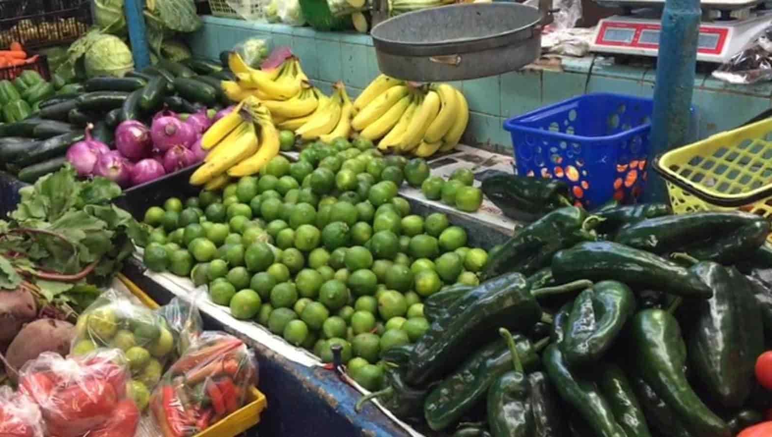 FOTO: Luz Noticias | Temática.