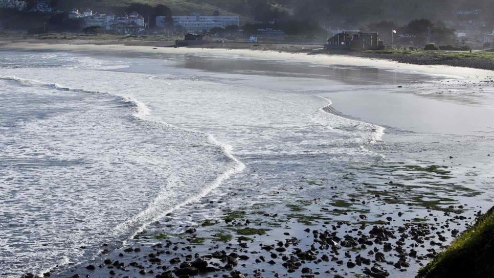 Un tsunami golpea la costa oeste de EE.UU. y Canadá tras la erupción en Tonga