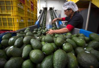 México lleva 8  años con saldo positivo en balanza agroalimentaria