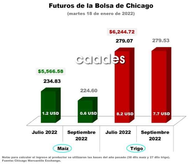 Imagen Placeholder