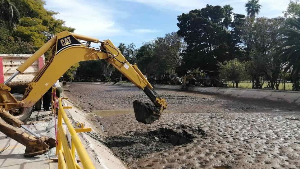 Perros, peces y hasta tortugas sacan de canal que abastece planta de agua de Los Mochis