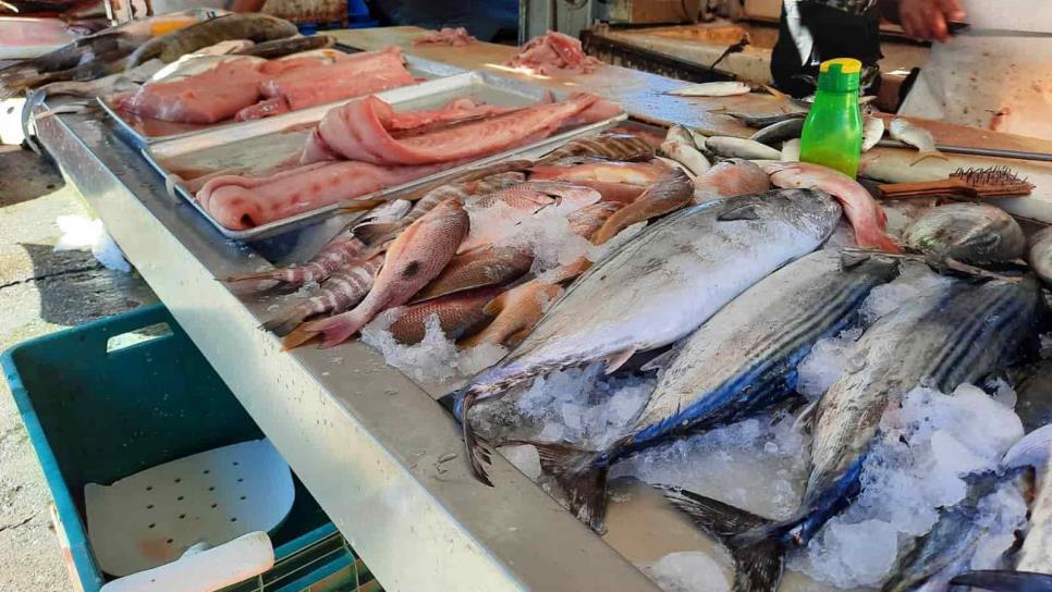 La sierra, curvina, robalo y cochito, salvan ventas de pescadores en Mazatlán