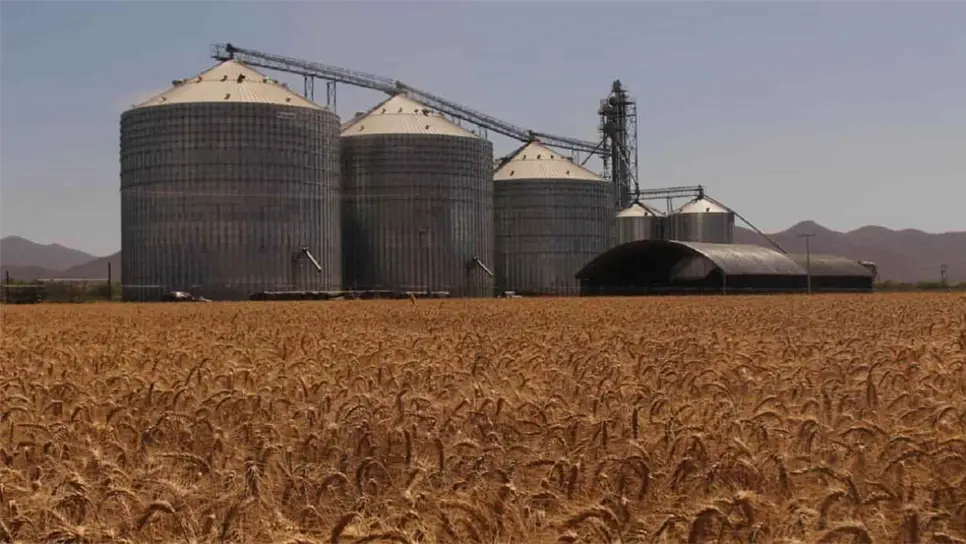 FOTO: Luz Noticias | Archivo.