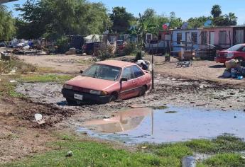 Crecen y juegan entre aguas negras en la colonia Virreyes