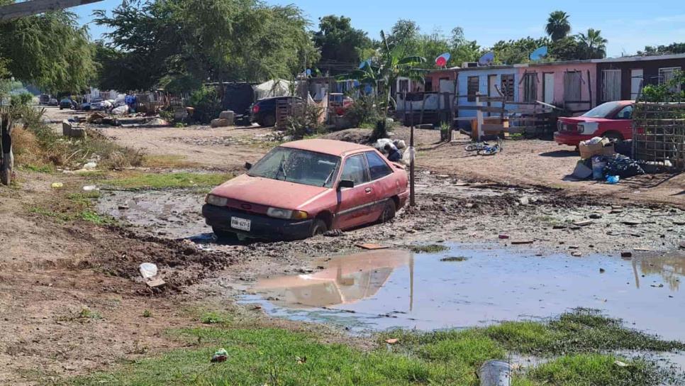 Crecen y juegan entre aguas negras en la colonia Virreyes