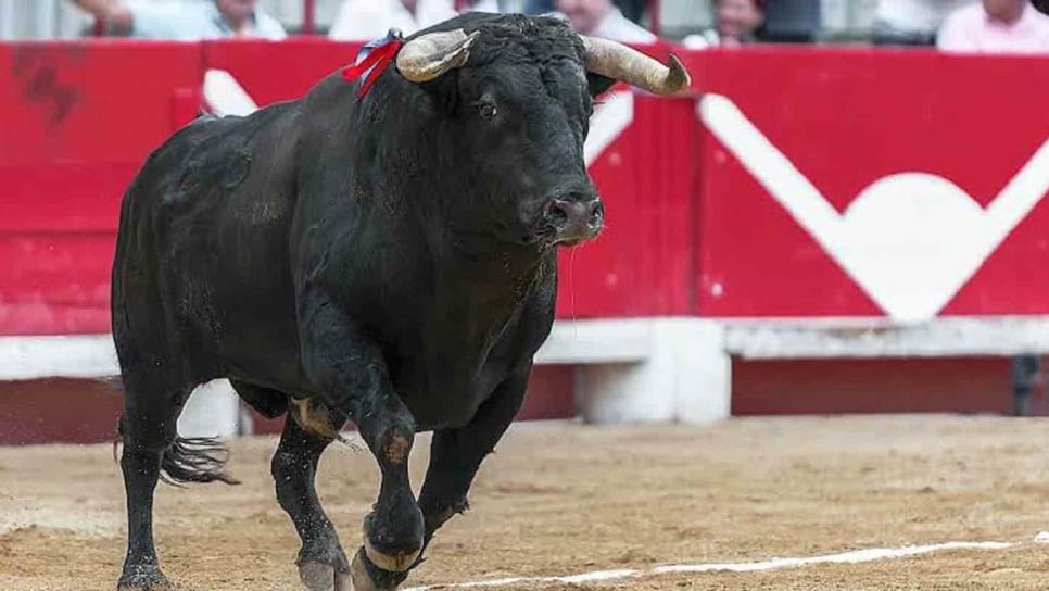 Prohíben corridas de toros en Sinaloa
