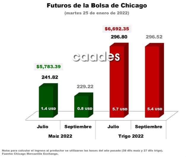 Imagen Placeholder