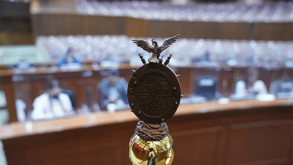 Aborto, Ley de Protección de Periodistas y Revocación de Mandato, temas en el Congreso