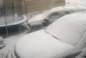 Cae nieve en Sierra de Chihuahua