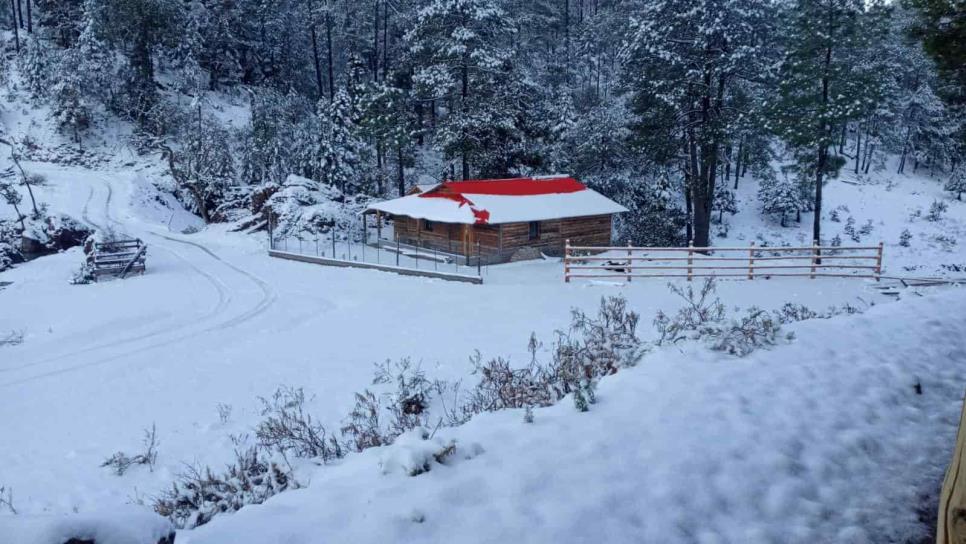 Nevada «viste de blanco» a Santa Gertrudis, Badiraguato