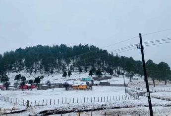 Mexiquillo se cubre de blanco gracias a su primera nevada del año