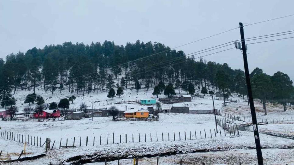 Mexiquillo se cubre de blanco gracias a su primera nevada del año