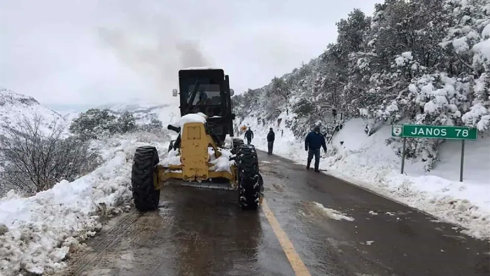 Gran parte de Chihuahua se cubrió de nieve desde ayer. FOTO: Luz Noticias.
