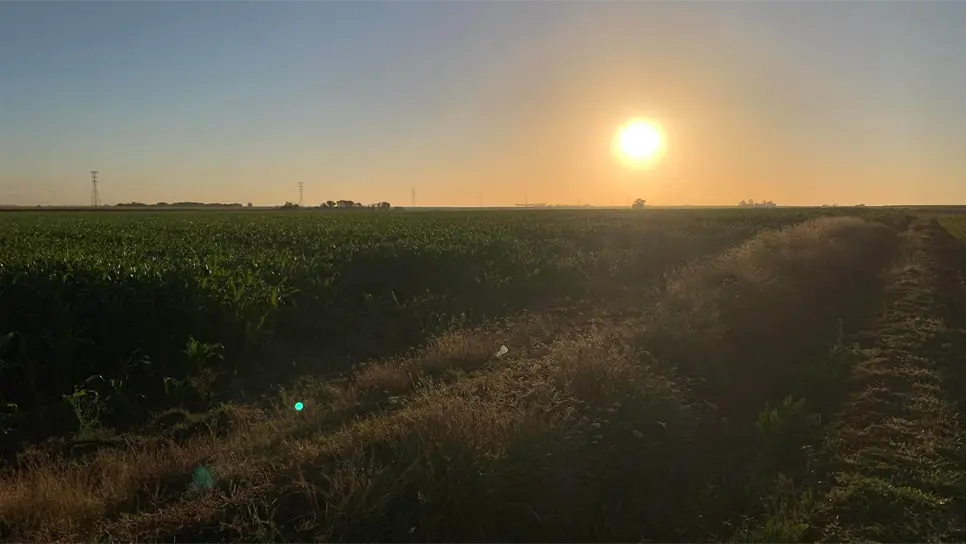 Por riesgo de heladas Rocha Moya buscará seguros para productores
